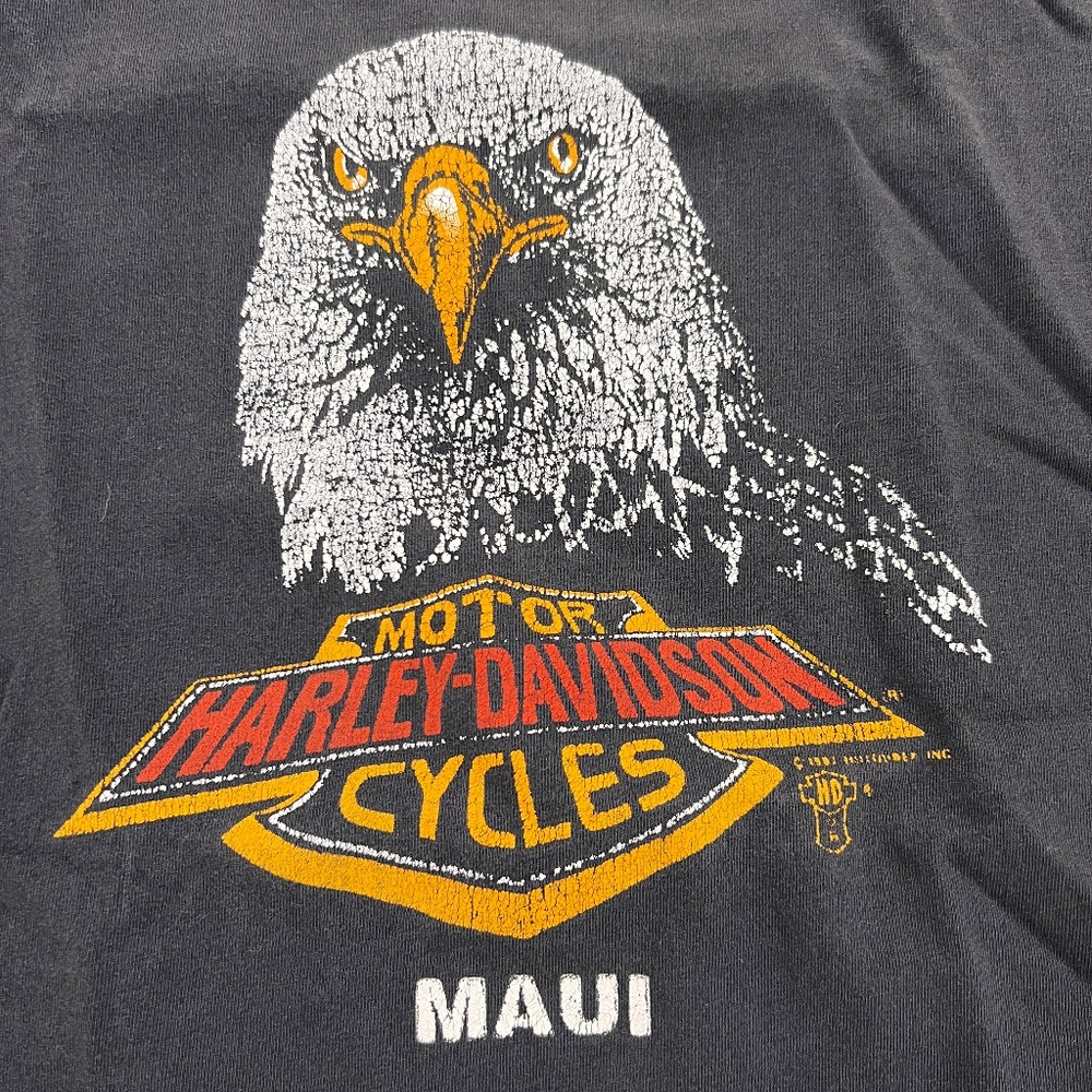 Harley Davidson Eagle - image 3